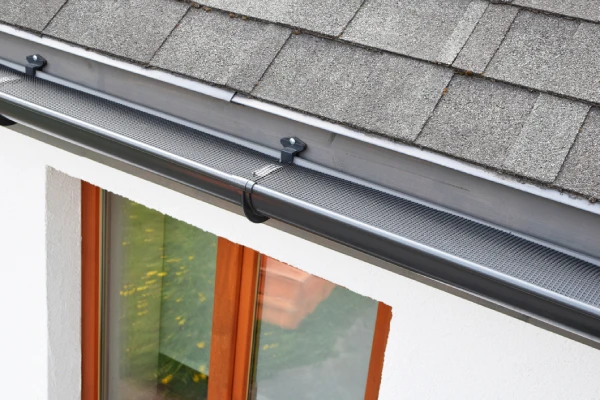 Gutter Cleaning
