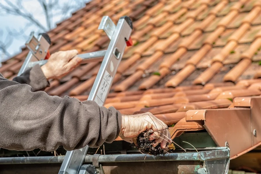How Gutter Cleaning Protects Your Landscaping Investment Beaumont, TX
