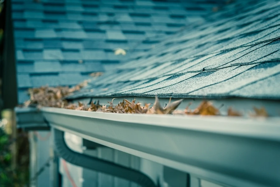How Gutter Cleaning Protects Your Landscaping Investment in Beaumont, TX